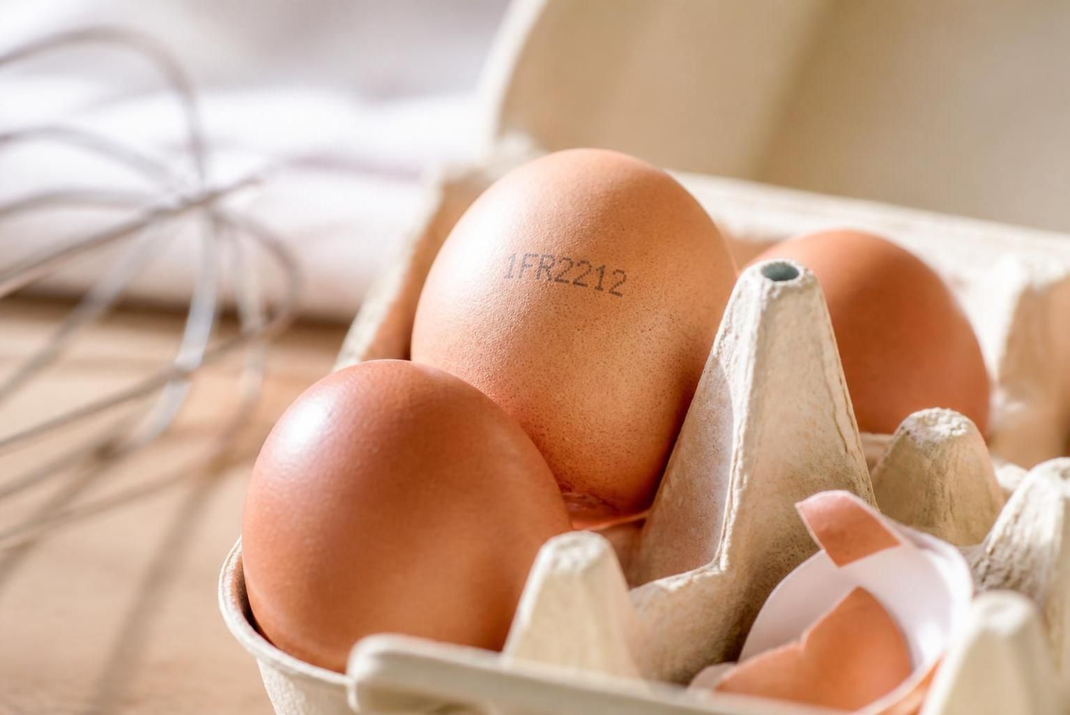 découvrez le véritable sens des codes œufs et ce qu'ils révèlent sur la qualité, l'origine et les conditions d'élevage des produits que vous consommez.